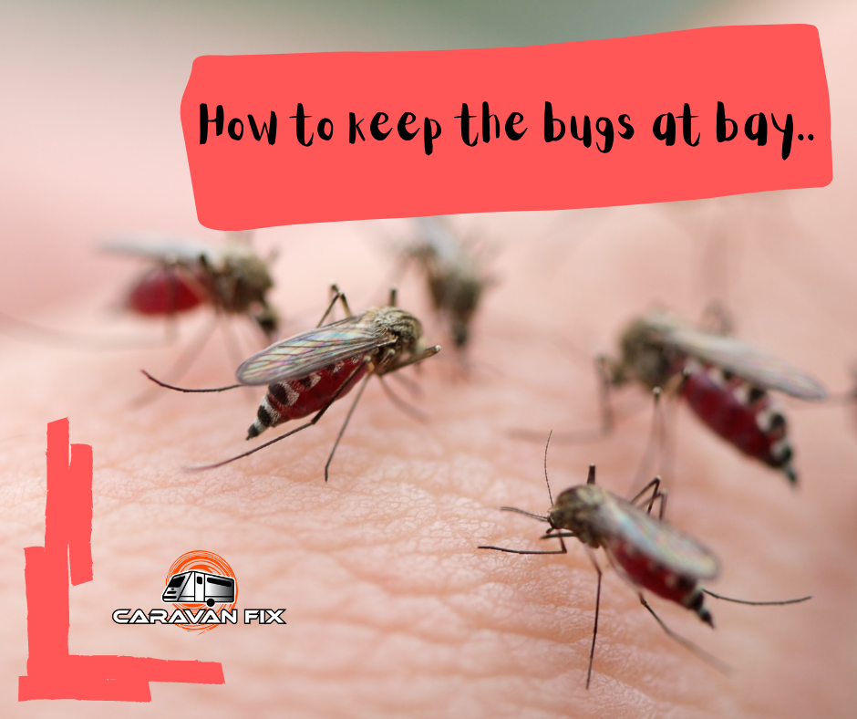 Keeping the bugs at bay.. Caravan Fix